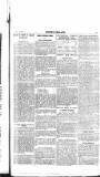 Flag of Ireland Saturday 04 September 1897 Page 13
