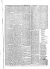 Penny Despatch and Irish Weekly Newspaper Saturday 11 April 1863 Page 7