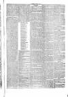 Penny Despatch and Irish Weekly Newspaper Saturday 18 April 1863 Page 6