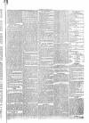 Penny Despatch and Irish Weekly Newspaper Saturday 14 November 1863 Page 5