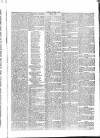 Penny Despatch and Irish Weekly Newspaper Saturday 19 December 1863 Page 7