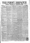 Penny Despatch and Irish Weekly Newspaper Saturday 20 February 1864 Page 1