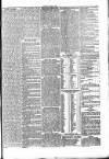 Penny Despatch and Irish Weekly Newspaper Saturday 05 March 1864 Page 5