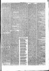 Penny Despatch and Irish Weekly Newspaper Saturday 05 March 1864 Page 7