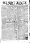Penny Despatch and Irish Weekly Newspaper Saturday 23 April 1864 Page 1