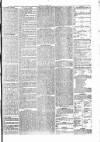 Penny Despatch and Irish Weekly Newspaper Saturday 30 April 1864 Page 5