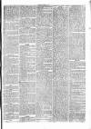 Penny Despatch and Irish Weekly Newspaper Saturday 30 April 1864 Page 7