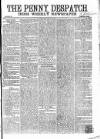 Penny Despatch and Irish Weekly Newspaper Saturday 14 May 1864 Page 1