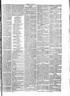 Penny Despatch and Irish Weekly Newspaper Saturday 21 May 1864 Page 3