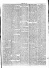 Penny Despatch and Irish Weekly Newspaper Saturday 21 May 1864 Page 7