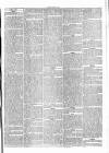 Penny Despatch and Irish Weekly Newspaper Saturday 28 May 1864 Page 7