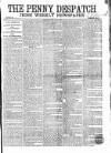 Penny Despatch and Irish Weekly Newspaper Saturday 11 June 1864 Page 1