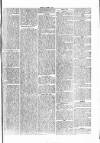 Penny Despatch and Irish Weekly Newspaper Saturday 20 August 1864 Page 7