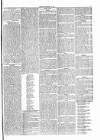 Penny Despatch and Irish Weekly Newspaper Saturday 24 September 1864 Page 7