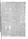 Penny Despatch and Irish Weekly Newspaper Saturday 12 November 1864 Page 3