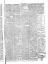 Penny Despatch and Irish Weekly Newspaper Saturday 12 November 1864 Page 5