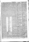 Penny Despatch and Irish Weekly Newspaper Saturday 19 November 1864 Page 3