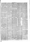 Penny Despatch and Irish Weekly Newspaper Saturday 17 December 1864 Page 5
