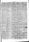 Penny Despatch and Irish Weekly Newspaper Saturday 28 January 1865 Page 3