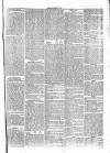 Penny Despatch and Irish Weekly Newspaper Saturday 25 March 1865 Page 7