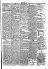Penny Despatch and Irish Weekly Newspaper Saturday 08 April 1865 Page 5