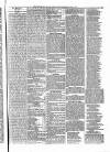 Penny Despatch and Irish Weekly Newspaper Saturday 22 April 1865 Page 5
