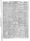 Penny Despatch and Irish Weekly Newspaper Saturday 20 May 1865 Page 7