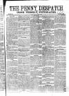 Penny Despatch and Irish Weekly Newspaper Saturday 08 July 1865 Page 1