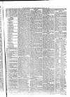 Penny Despatch and Irish Weekly Newspaper Saturday 08 July 1865 Page 3
