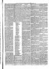 Penny Despatch and Irish Weekly Newspaper Saturday 19 August 1865 Page 7