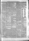 Penny Despatch and Irish Weekly Newspaper Saturday 16 December 1865 Page 7