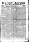 Penny Despatch and Irish Weekly Newspaper Saturday 30 December 1865 Page 1