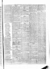 Penny Despatch and Irish Weekly Newspaper Saturday 17 February 1866 Page 7