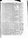 Penny Despatch and Irish Weekly Newspaper Saturday 07 April 1866 Page 5