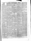 Penny Despatch and Irish Weekly Newspaper Saturday 05 May 1866 Page 3