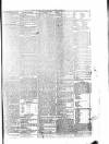 Penny Despatch and Irish Weekly Newspaper Saturday 12 May 1866 Page 5