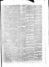 Penny Despatch and Irish Weekly Newspaper Saturday 19 May 1866 Page 3