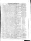 Penny Despatch and Irish Weekly Newspaper Saturday 26 May 1866 Page 3