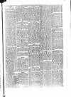 Penny Despatch and Irish Weekly Newspaper Saturday 16 June 1866 Page 7