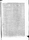 Penny Despatch and Irish Weekly Newspaper Saturday 07 July 1866 Page 3