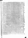 Penny Despatch and Irish Weekly Newspaper Saturday 07 July 1866 Page 7