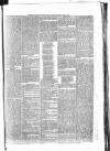 Penny Despatch and Irish Weekly Newspaper Saturday 14 July 1866 Page 3