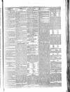 Penny Despatch and Irish Weekly Newspaper Saturday 14 July 1866 Page 5