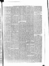 Penny Despatch and Irish Weekly Newspaper Saturday 08 September 1866 Page 7