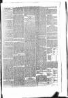 Penny Despatch and Irish Weekly Newspaper Saturday 13 October 1866 Page 5