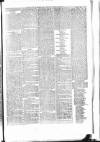 Penny Despatch and Irish Weekly Newspaper Saturday 27 October 1866 Page 3