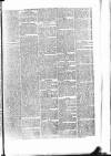 Penny Despatch and Irish Weekly Newspaper Saturday 27 October 1866 Page 7