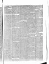 Penny Despatch and Irish Weekly Newspaper Saturday 15 December 1866 Page 3