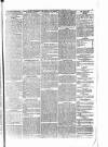 Penny Despatch and Irish Weekly Newspaper Saturday 22 December 1866 Page 5