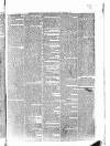 Penny Despatch and Irish Weekly Newspaper Saturday 29 December 1866 Page 3